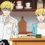 ACCA_13