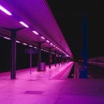 Purpleway.jpg